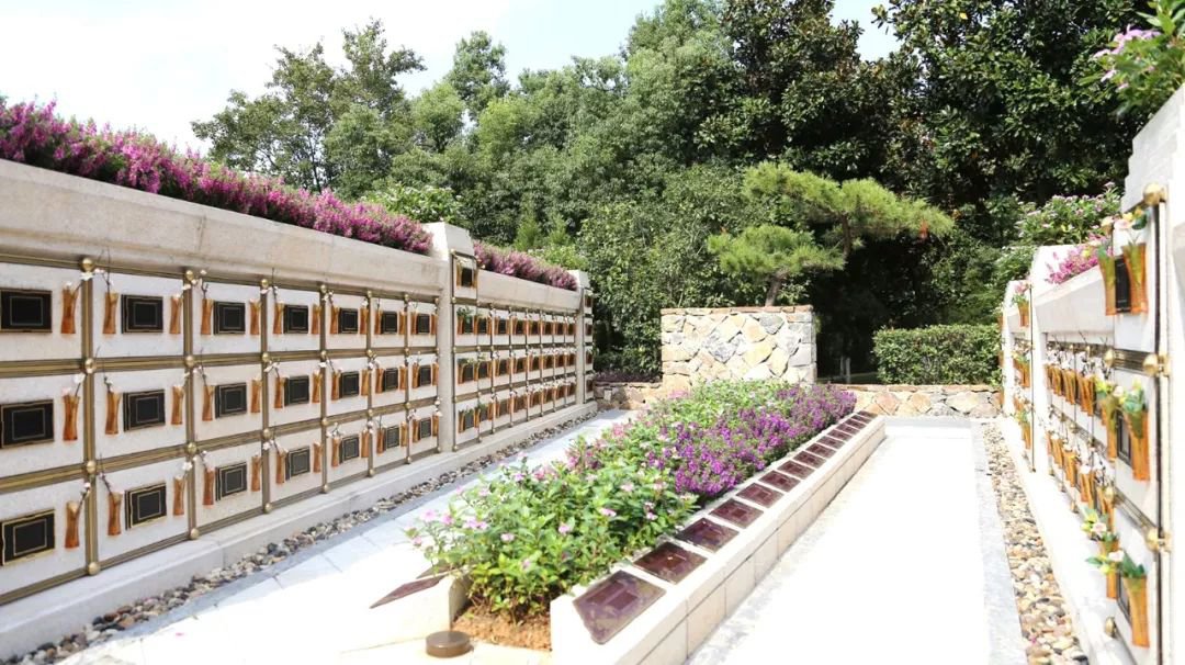 在合肥大蜀山文化陵园，与生命温柔对话